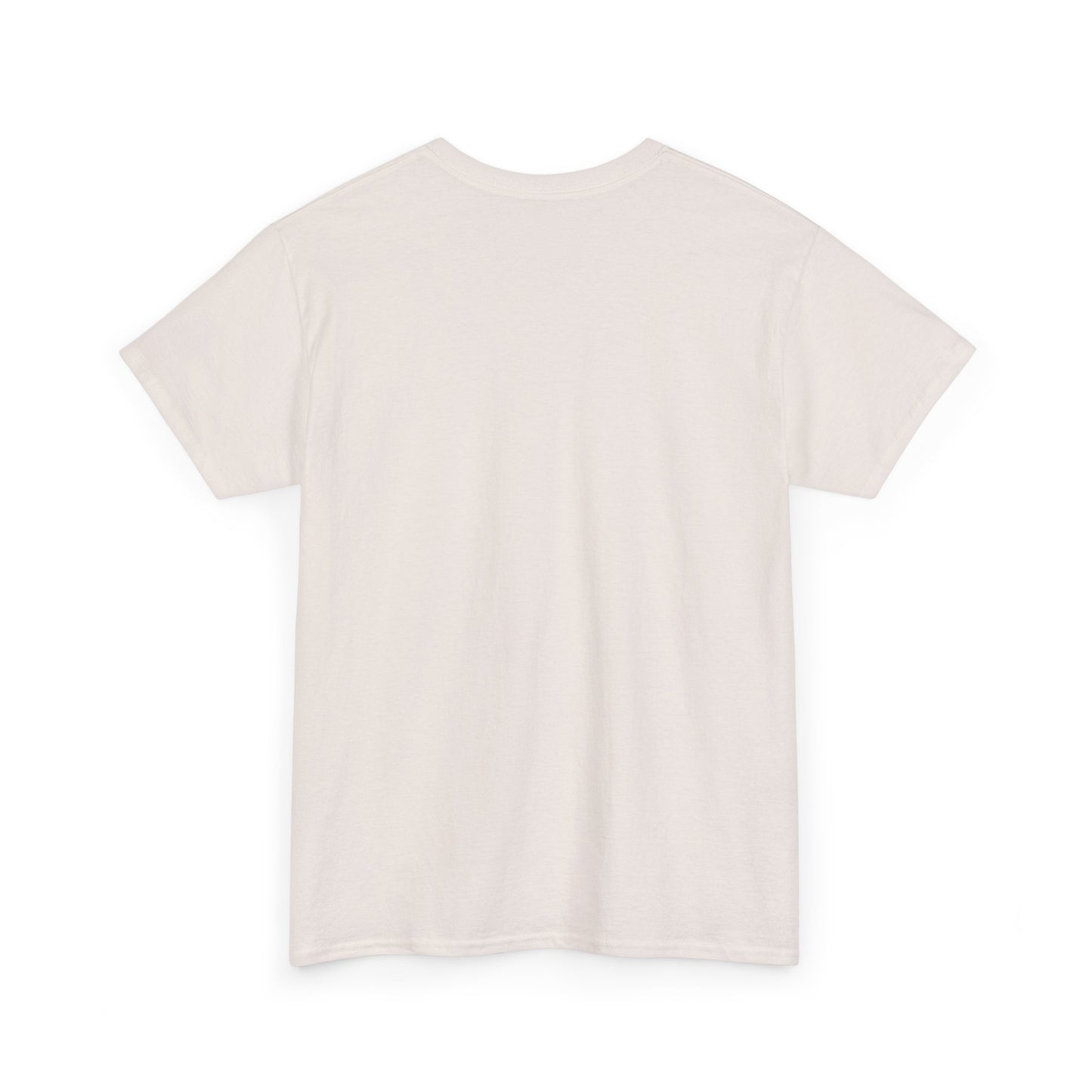 Pix’E’ Perfection Unisex Heavy Cotton Tee