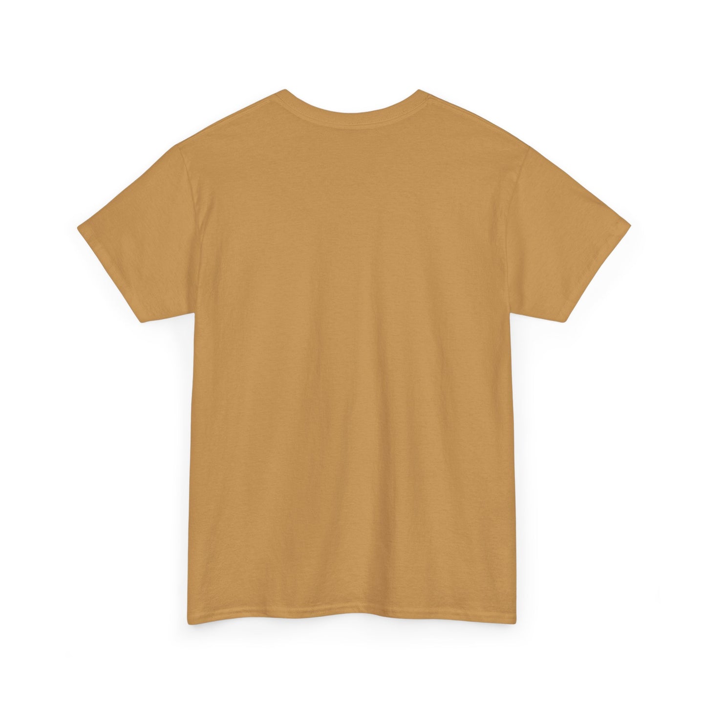 Pix ‘E’ Drip Unisex Heavy Cotton Tee