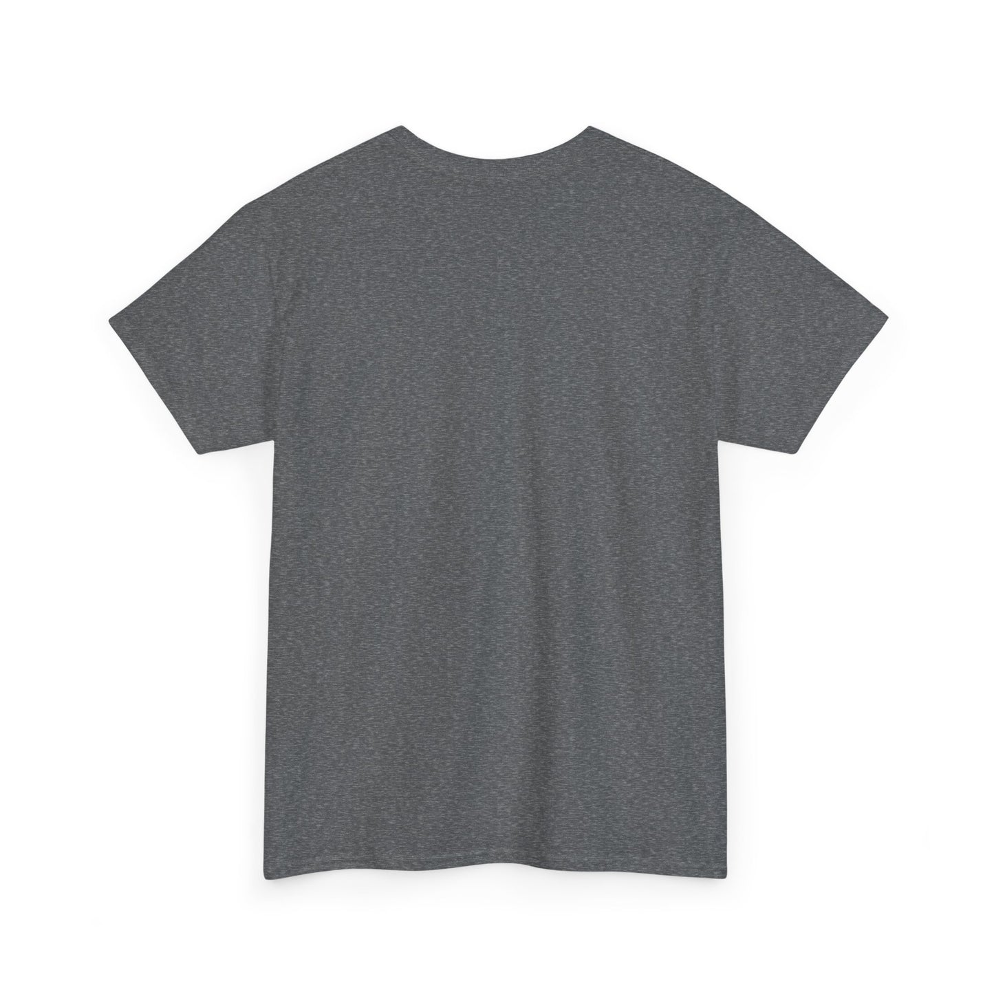 Pix’E’ Perfection Unisex Heavy Cotton Tee