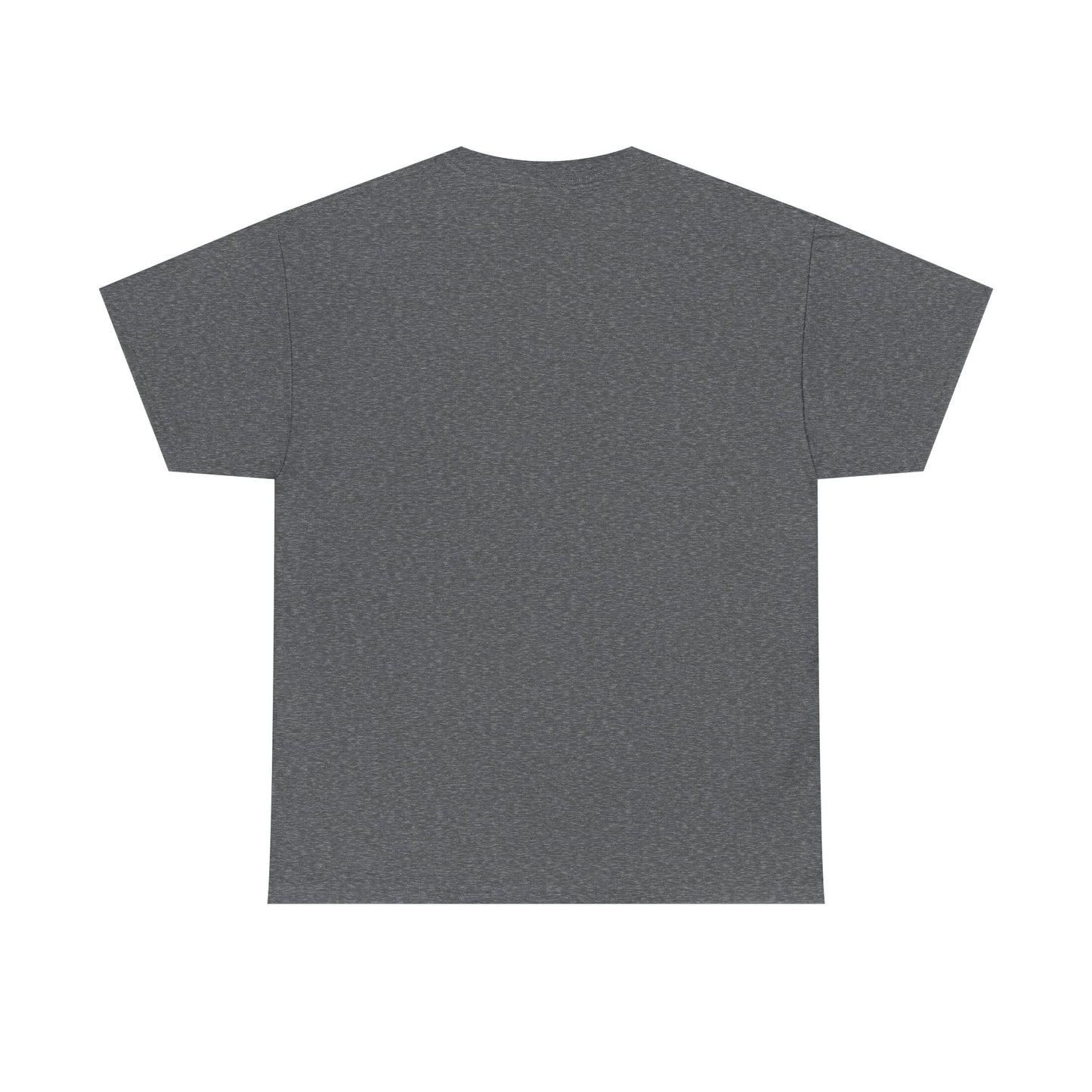 Pix’E’ Perfection Unisex Heavy Cotton Tee