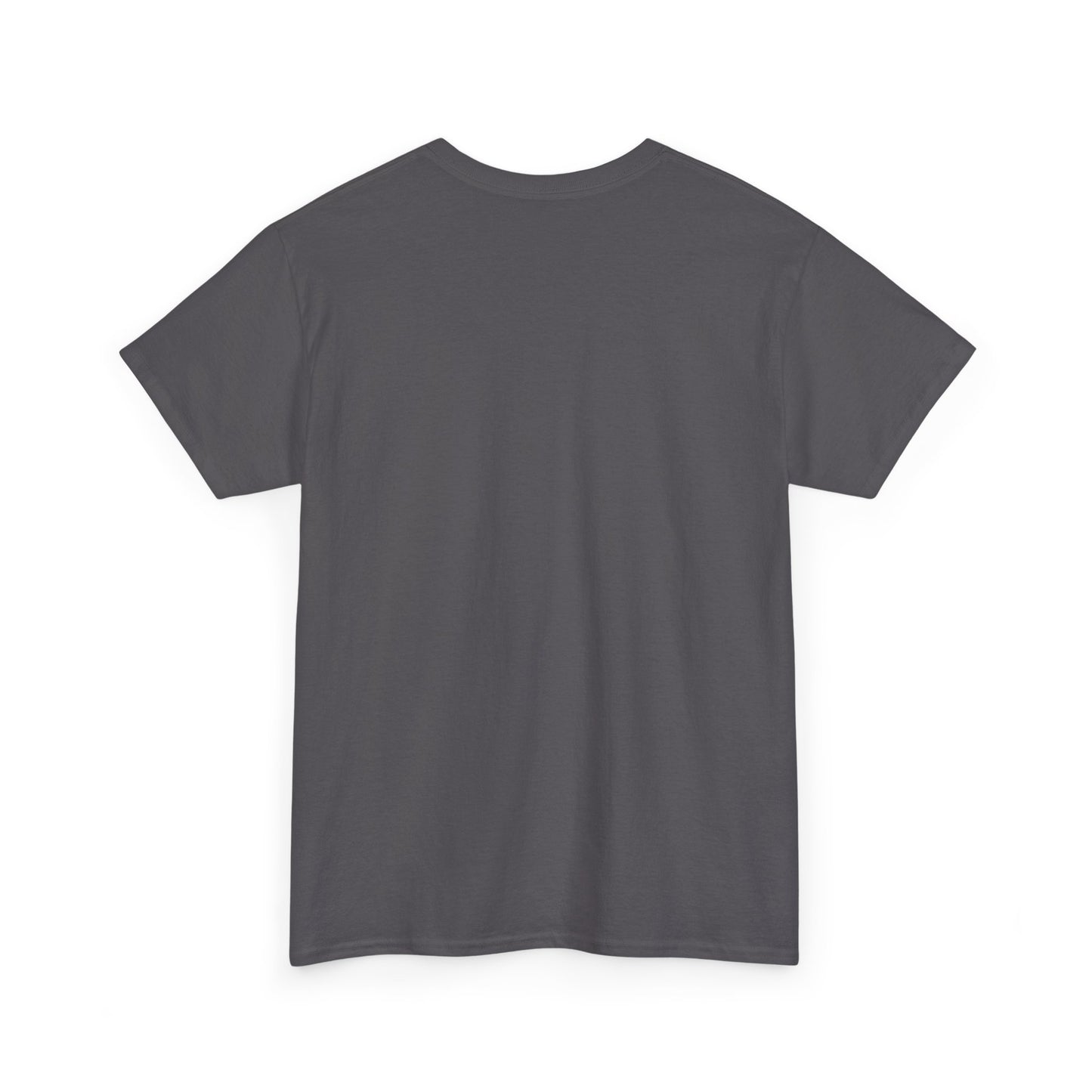 Pix ‘E’ Drip Unisex Heavy Cotton Tee
