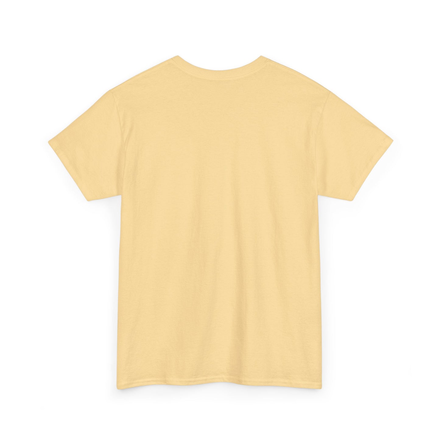 Pix ‘E’ Drip Unisex Heavy Cotton Tee