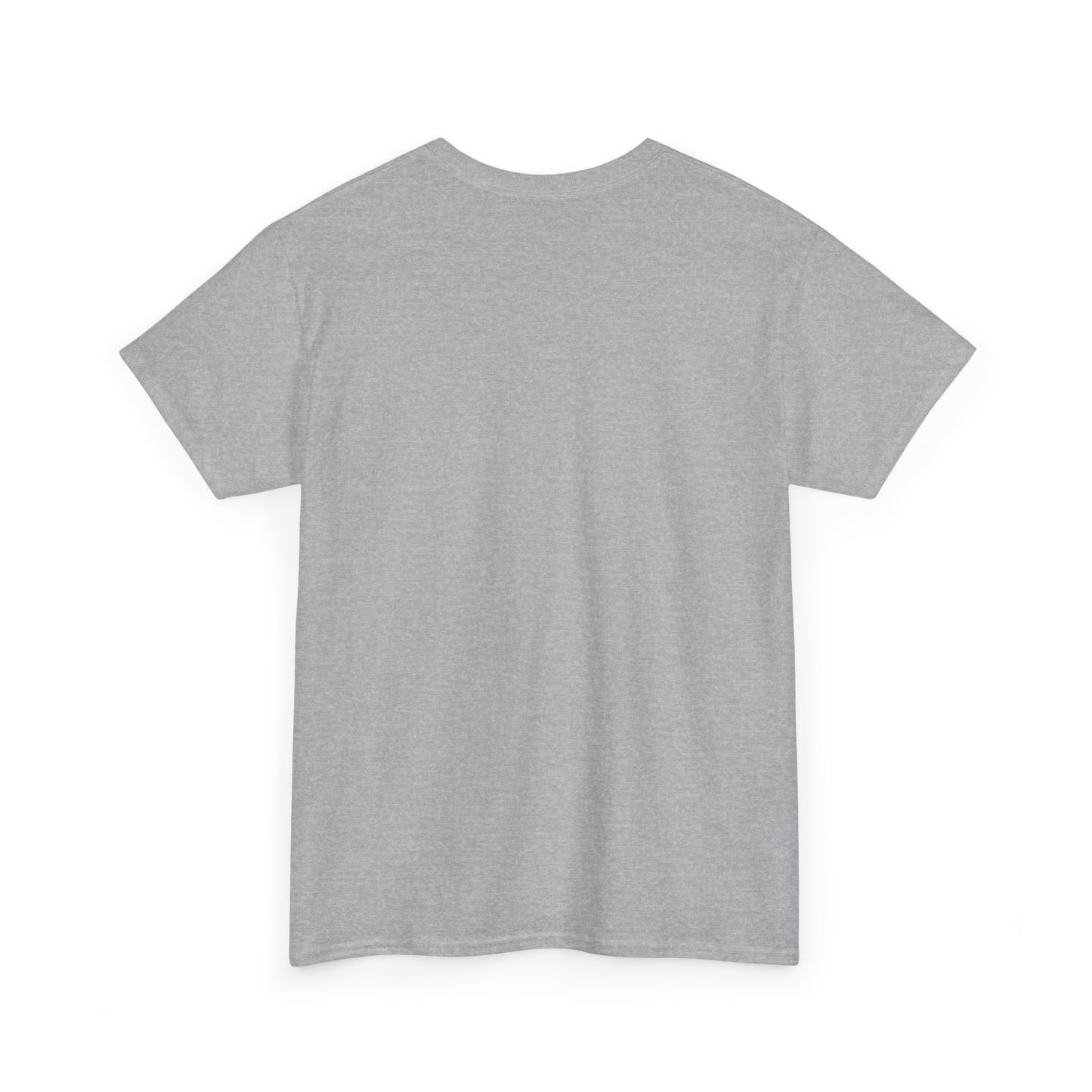 Pix ‘E’ Drip Unisex Heavy Cotton Tee